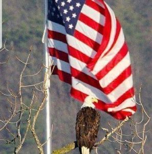 Meet your Posher, Steve